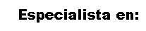 Cuadro de texto:    Especialista en: